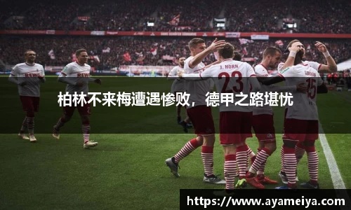 博鱼.体育官网