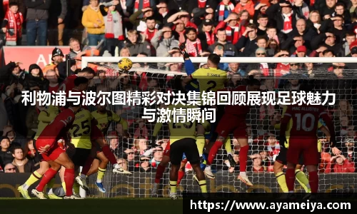 博鱼中国官方入口