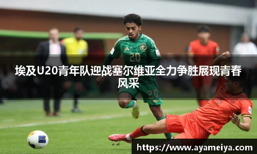 博鱼中国官方入口
