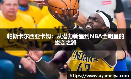 博鱼中国官方入口