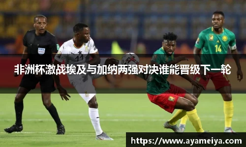 博鱼.体育官网