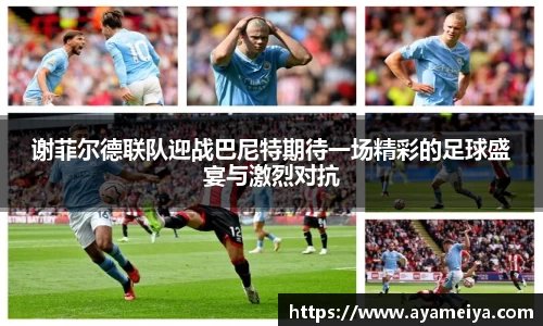 博鱼.boyu体育