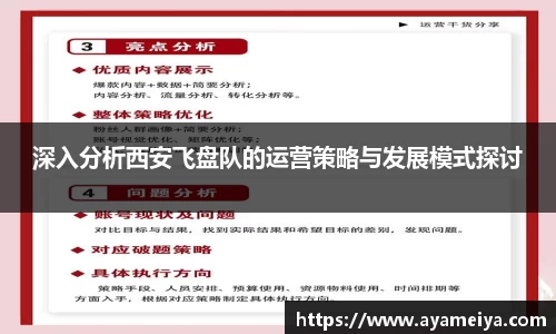 深入分析西安飞盘队的运营策略与发展模式探讨